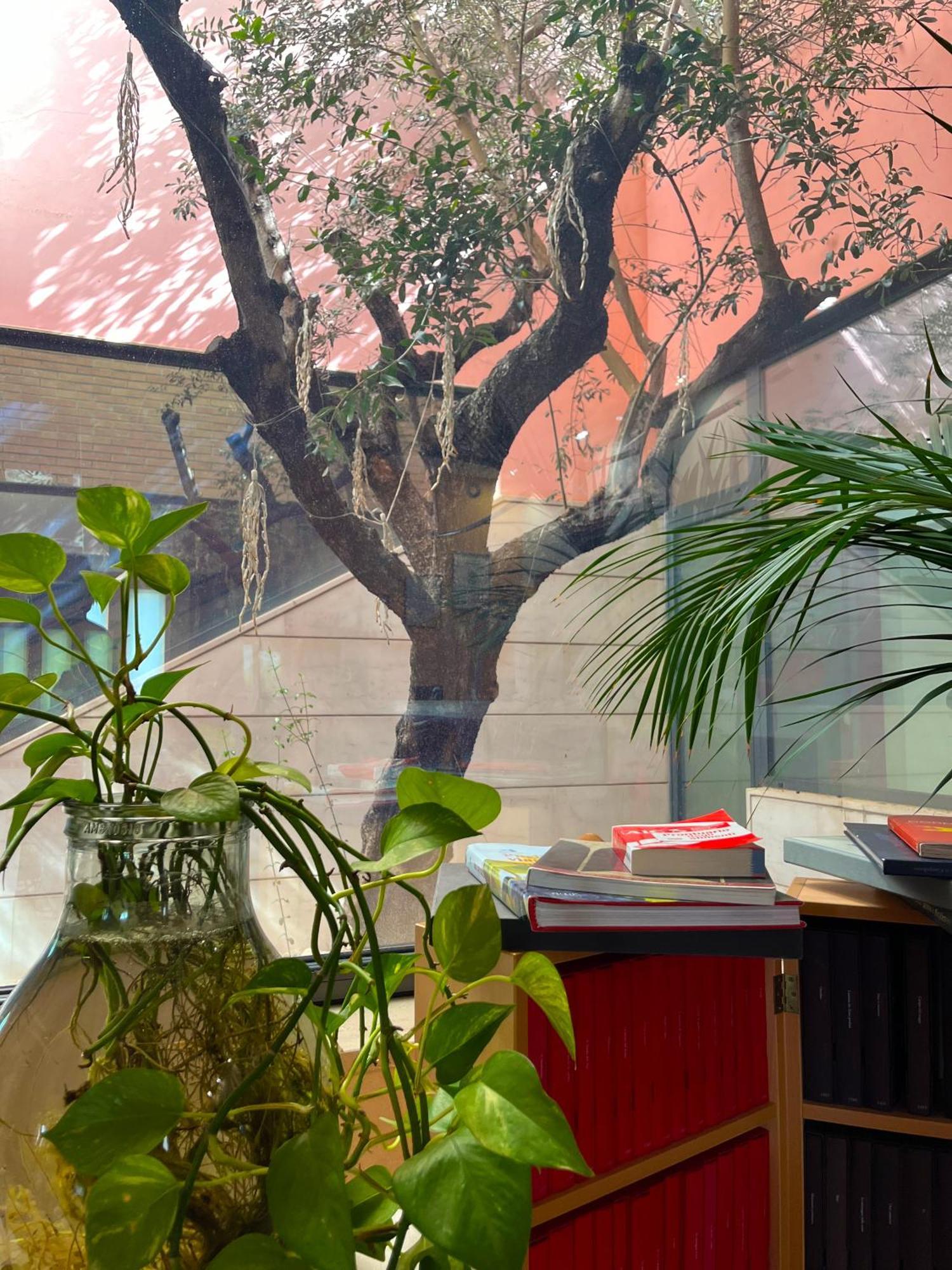 Don Guglielmo Panoramic Hotel & Spa 坎波巴索 外观 照片