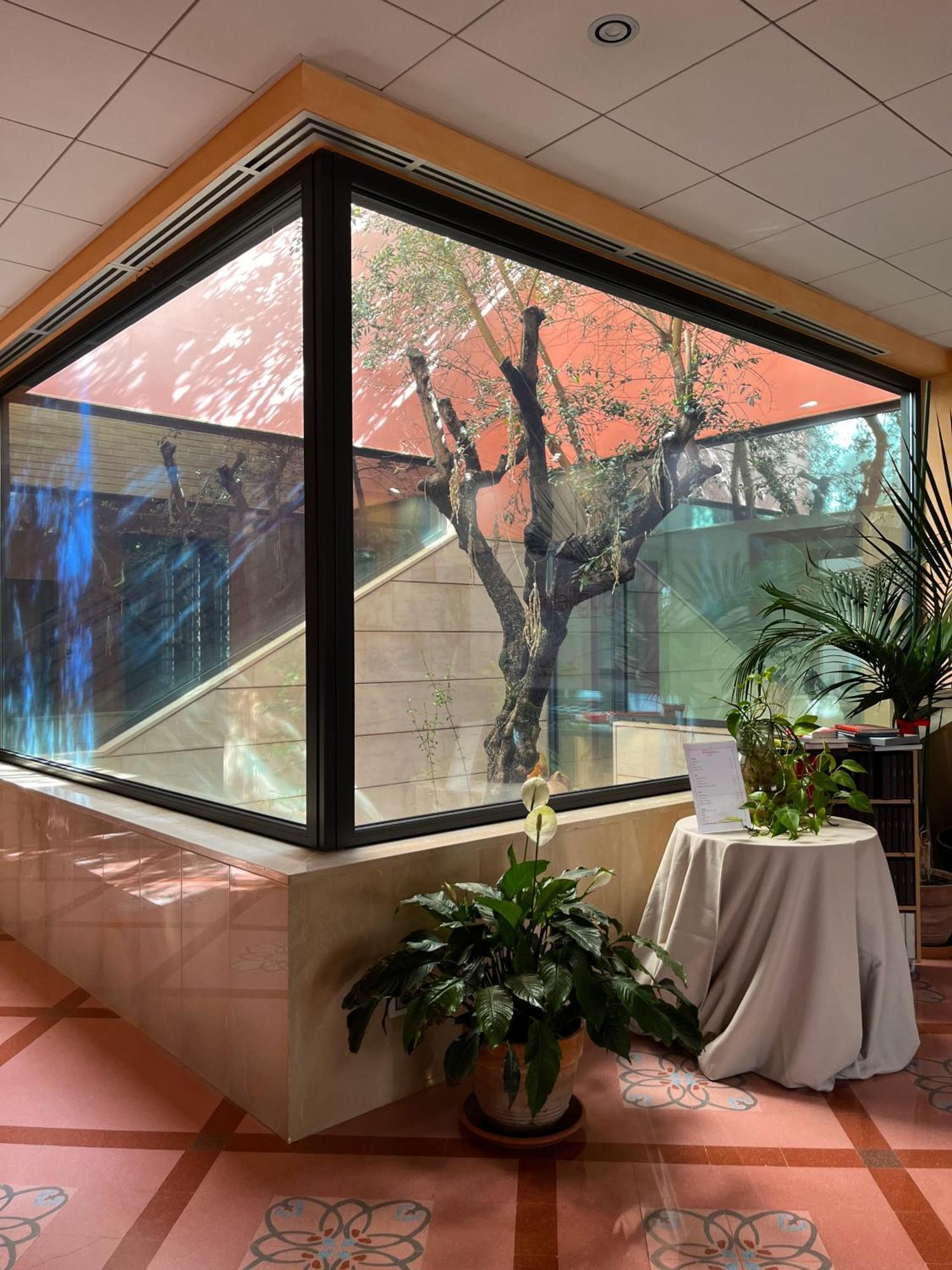 Don Guglielmo Panoramic Hotel & Spa 坎波巴索 外观 照片