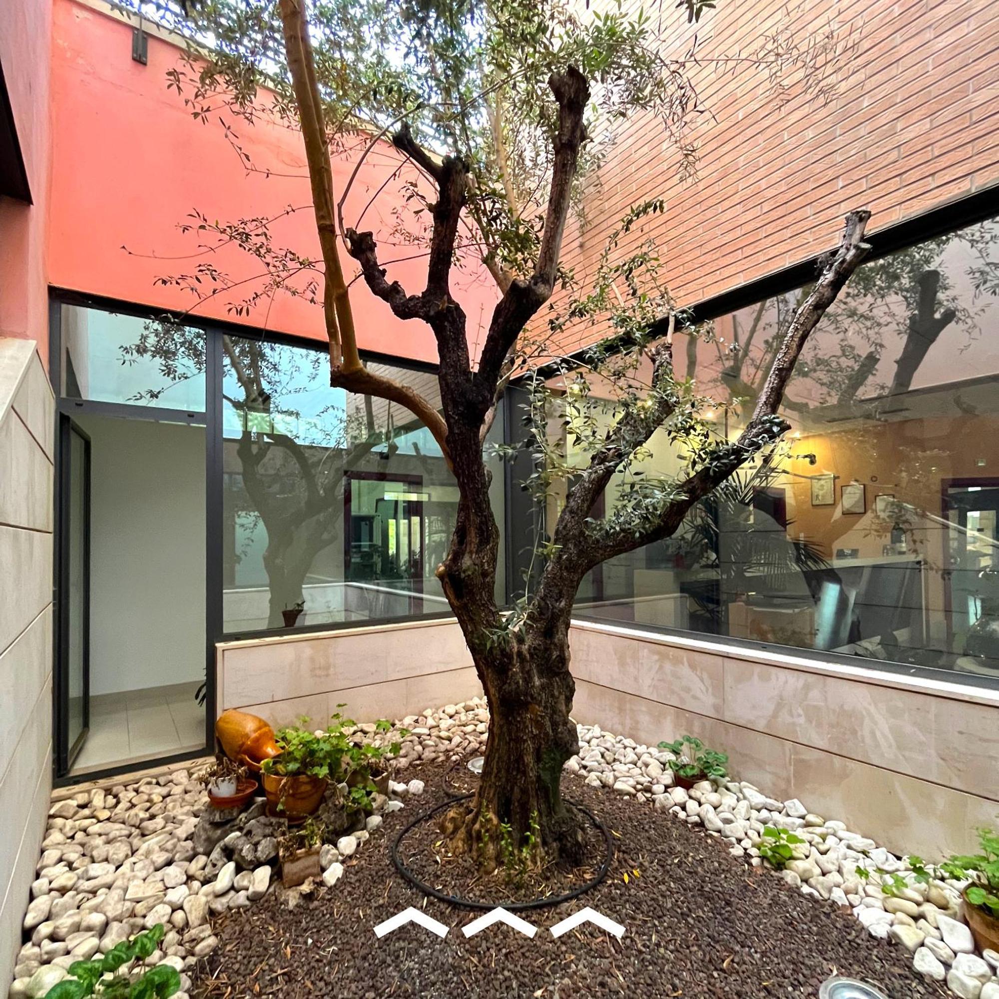 Don Guglielmo Panoramic Hotel & Spa 坎波巴索 外观 照片