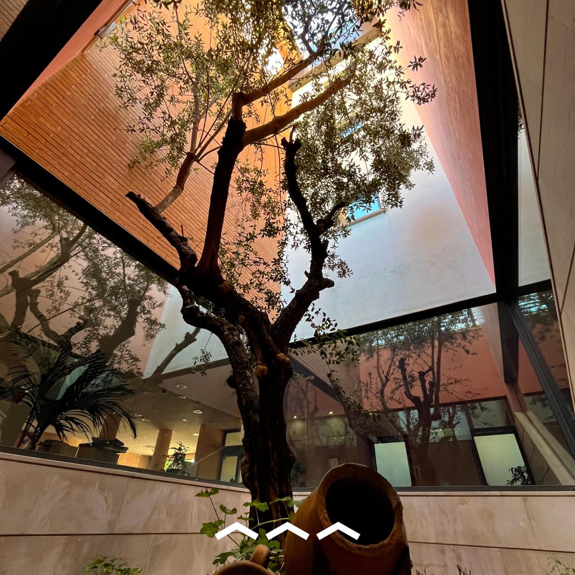 Don Guglielmo Panoramic Hotel & Spa 坎波巴索 外观 照片